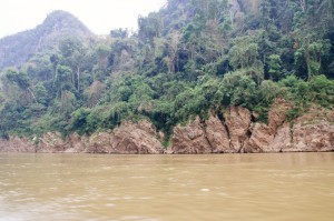 Jungle Banks of the Mekong