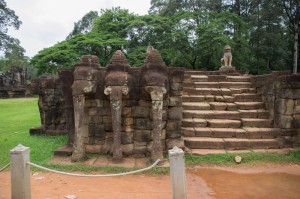 Elephant Wall 1