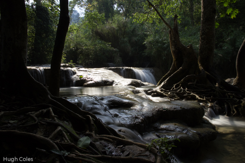 Kouangxi Jungle Stream